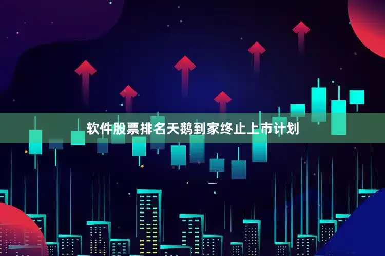 软件股票排名天鹅到家终止上市计划