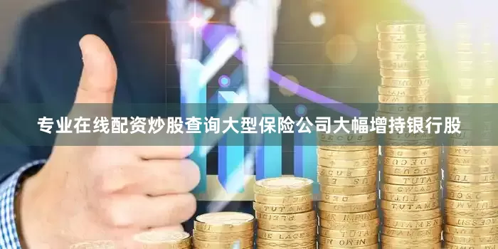 专业在线配资炒股查询大型保险公司大幅增持银行股