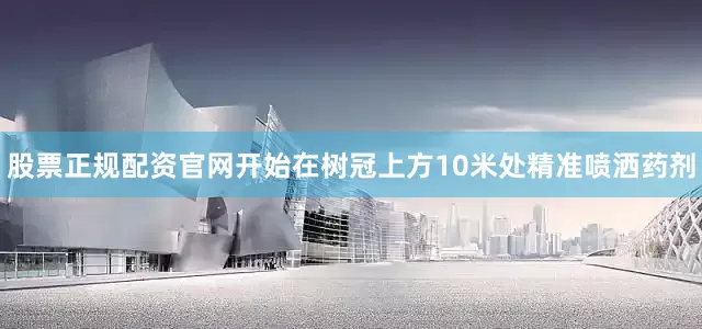 股票正规配资官网开始在树冠上方10米处精准喷洒药剂