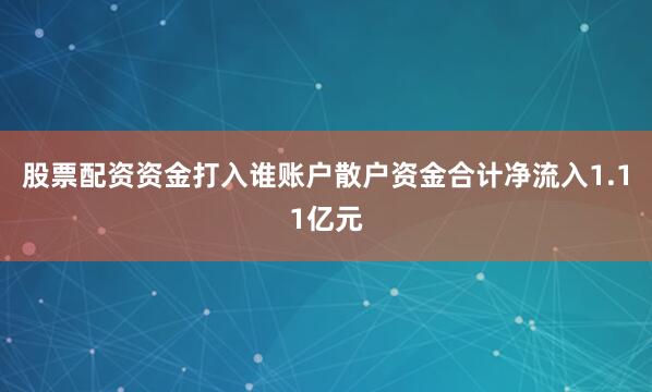 股票配资资金打入谁账户散户资金合计净流入1.11亿元