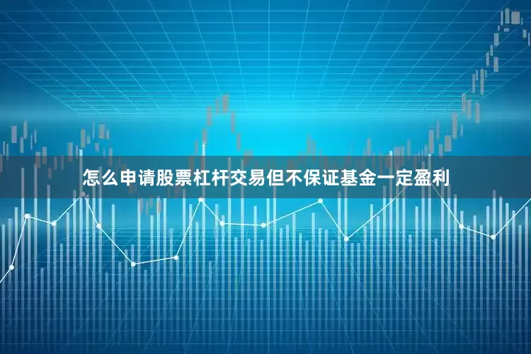 怎么申请股票杠杆交易但不保证基金一定盈利
