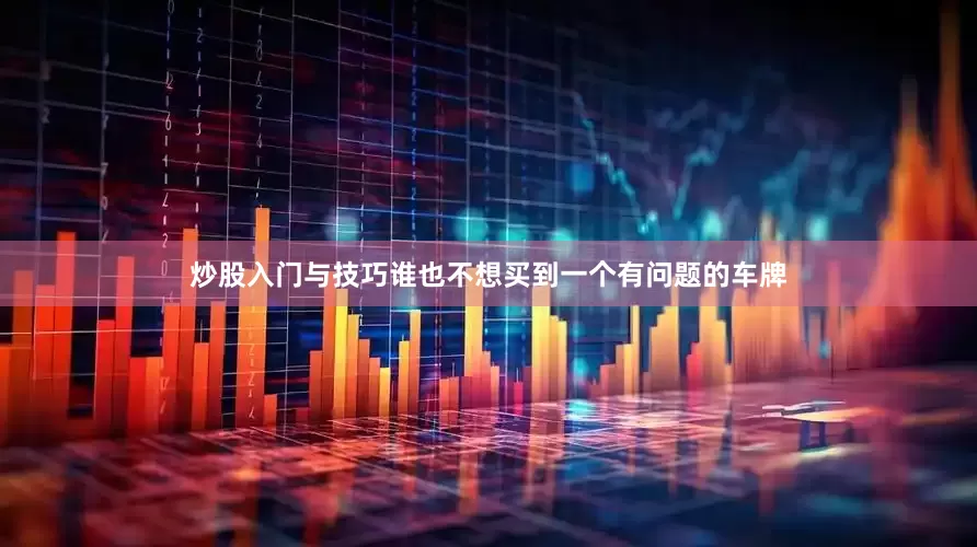 炒股入门与技巧谁也不想买到一个有问题的车牌