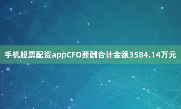 手机股票配资appCFO薪酬合计金额3584.14万元